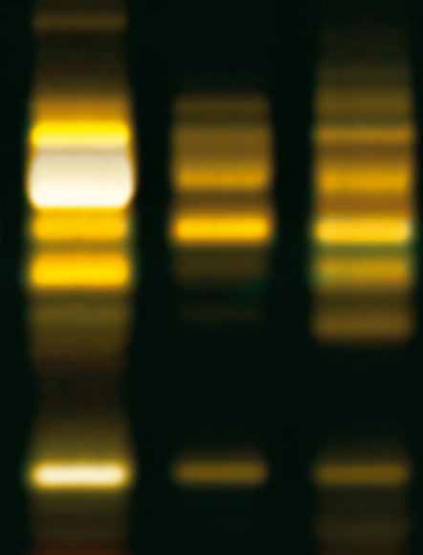 Thin layer chromatography cabinet  TLC-254/365